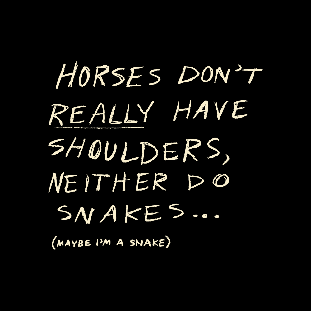 Horse With No Shoulders Long Sleeve