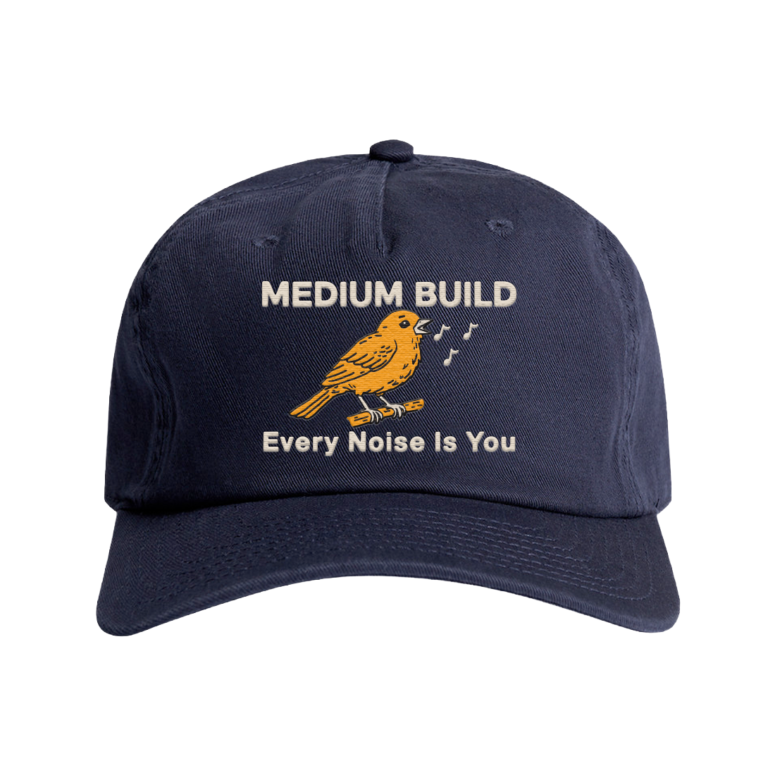 Every Noise Is You Hat